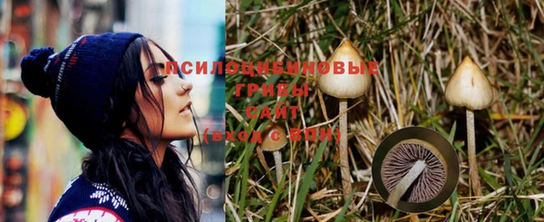 тгк Волоколамск