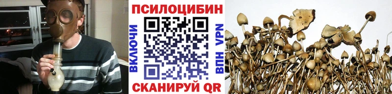 Галлюциногенные грибы мухоморы  магазин продажи наркотиков  KRAKEN ONION  Городище 